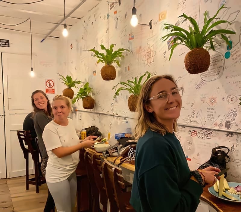 Three guests at a long wooden bar counter under hanging moss-ball plants, the white wall behind them covered in handwritten messages and drawings