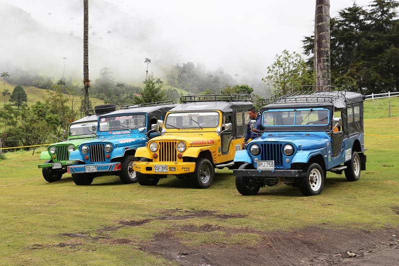 Four colourful Willys jeeps parked on grass in the Cocora Valley, palms and mist behind