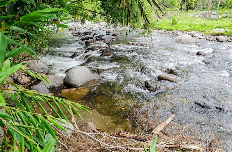 The rocky, fast-flowing Río Quindío near Salento framed by green leaves