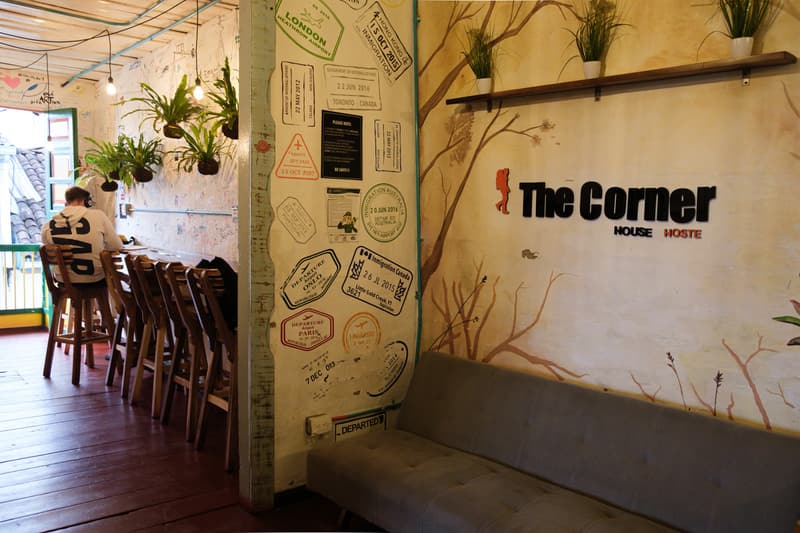 Counter seating along the windows and a bench under the hostel’s painted logo wall with branches and potted plants