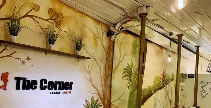 Wide view of the reception mural: branches and bromeliads painted across the walls, the hostel logo and a wooden balustrade by the stairs
