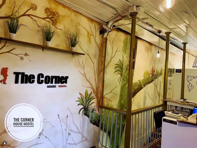 Reception with a botanical mural: painted bare branches, bromeliads and a moss-covered branch on warm plaster walls, potted grasses on a shelf, the black “The Corner House Hostel” logo and a small orange hiker figure