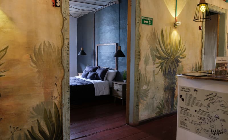 Looking from the reception area through an open door into the Deluxe Double Room, painted agave murals on both sides
